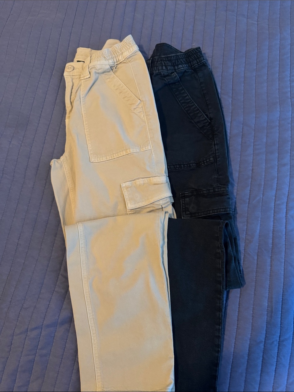 Set of American Eagle Outfitters Stone Beige Cargo Pants and navy cargo pants